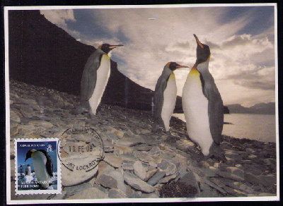 BAT<br />2008 King Penguin,postmark Port Lockroy. face<br />from airmail booklet 2006
