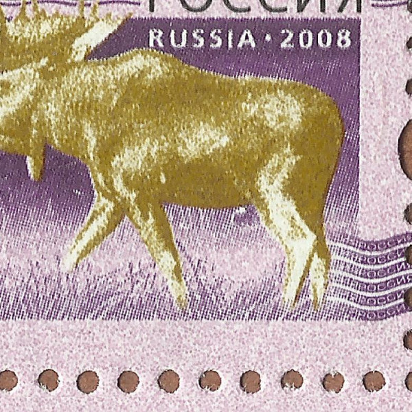 5 рублей 2008 108 85+.jpg