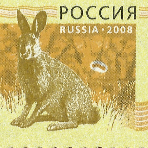 0,15 рубля 2008 4 СМИРНОВ 72+.jpg