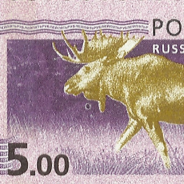 5 рублей 2008 117 63+.jpg
