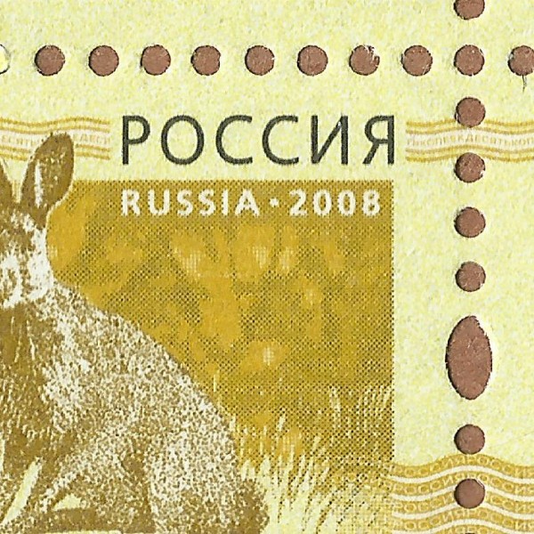 0,10 рубля 2008 9 100 темное пятно.jpg
